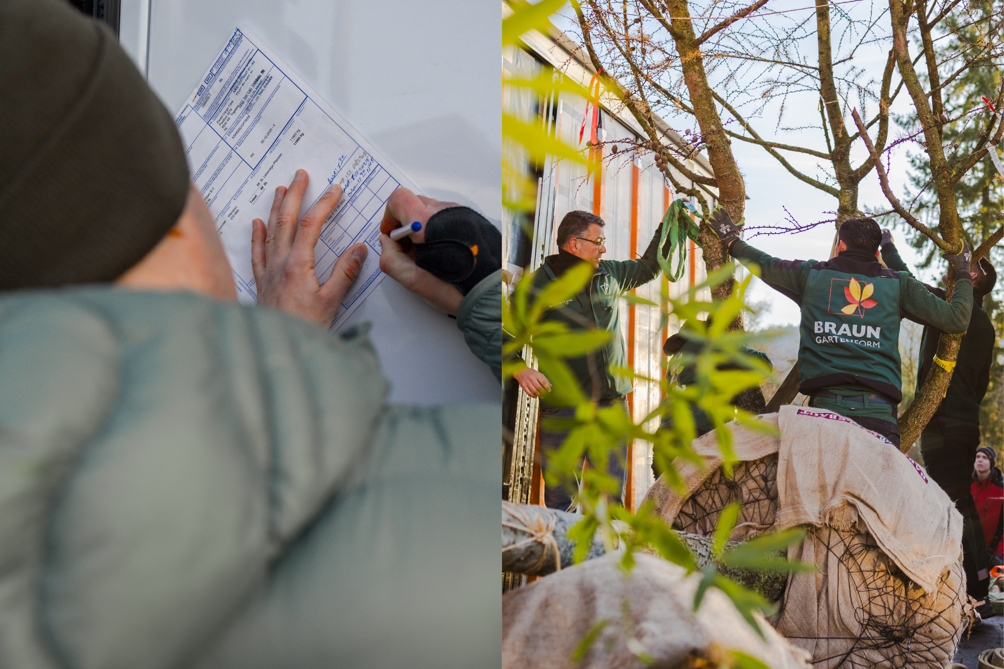 Pflanzen tanzen – Fotoreportage über die Anlieferung und das Einpflanzen ausgewachsener Bäume, Aufnahme 2