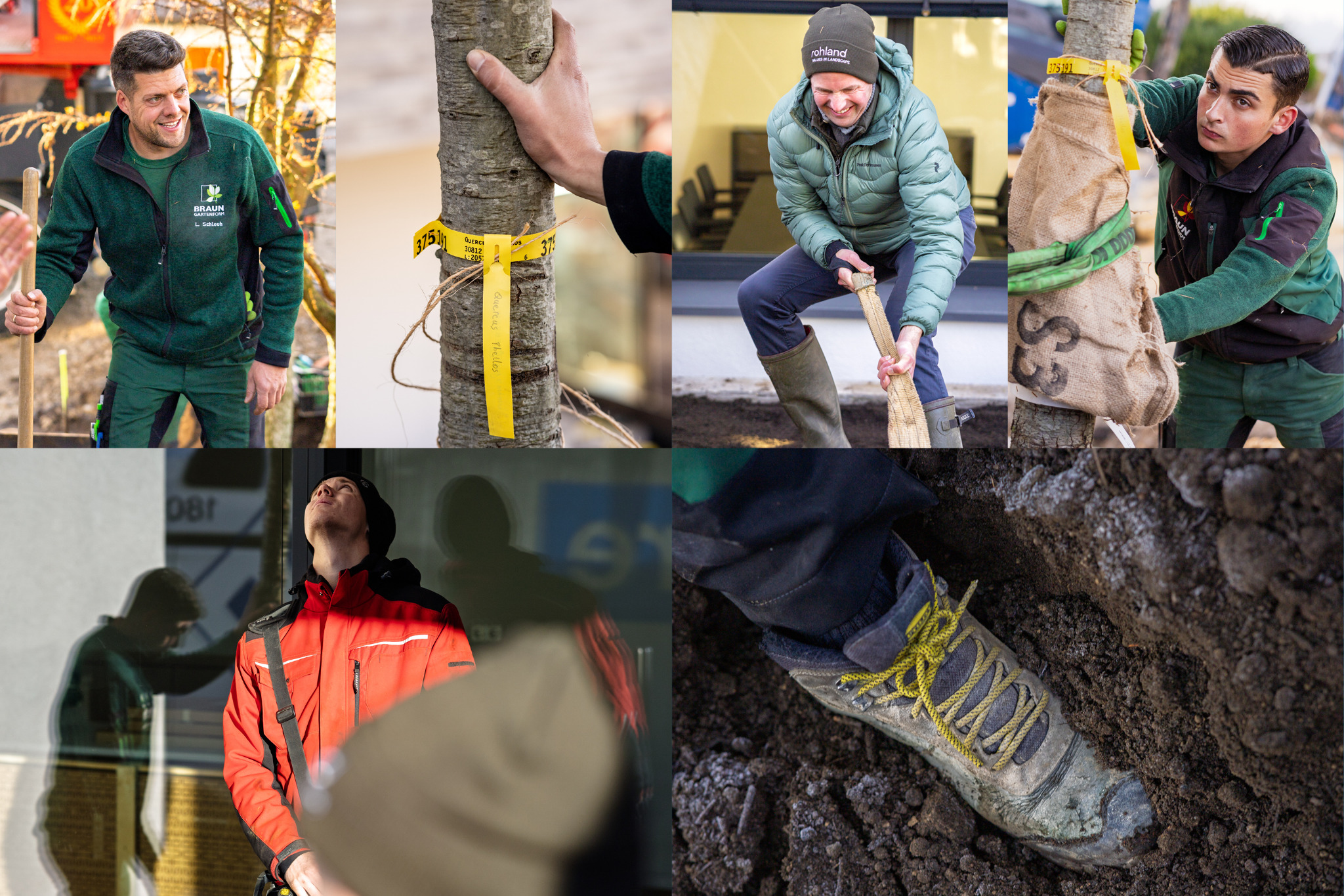 Pflanzen tanzen – Fotoreportage über die Anlieferung und das Einpflanzen ausgewachsener Bäume, Aufnahme 6